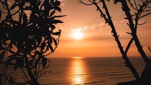 Preview wallpaper sunset, horizon, trees, branches, sun