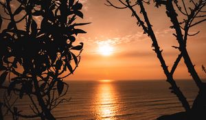 Preview wallpaper sunset, horizon, trees, branches, sun