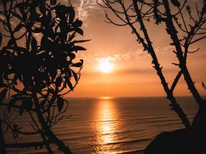 Preview wallpaper sunset, horizon, trees, branches, sun