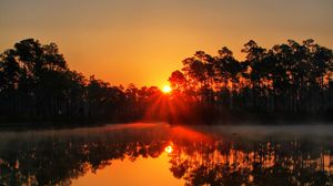 Preview wallpaper sunset, lake, rays, trees, florida