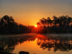 Preview wallpaper sunset, lake, rays, trees, florida