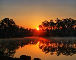 Preview wallpaper sunset, lake, rays, trees, florida