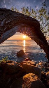 Preview wallpaper sunset, lake, tree, sun, sunlight