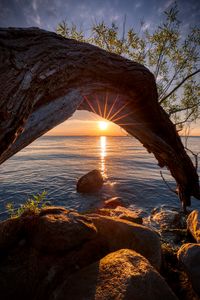 Preview wallpaper sunset, lake, tree, sun, sunlight
