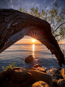 Preview wallpaper sunset, lake, tree, sun, sunlight