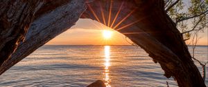 Preview wallpaper sunset, lake, tree, sun, sunlight