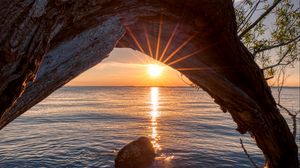 Preview wallpaper sunset, lake, tree, sun, sunlight