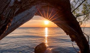 Preview wallpaper sunset, lake, tree, sun, sunlight