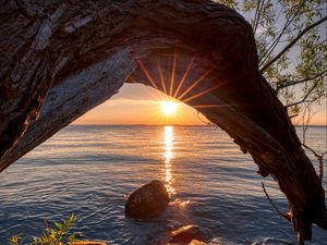Preview wallpaper sunset, lake, tree, sun, sunlight