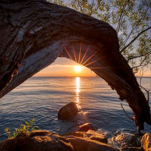 Preview wallpaper sunset, lake, tree, sun, sunlight