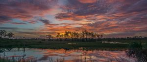 Preview wallpaper sunset, lake, trees, reflection