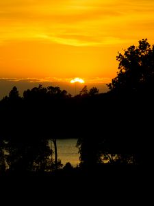 Preview wallpaper sunset, lake, trees, silhouettes, dark