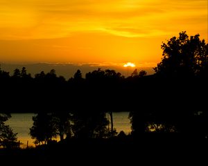 Preview wallpaper sunset, lake, trees, silhouettes, dark