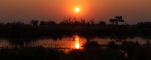 Preview wallpaper sunset, landscape, pond, dark