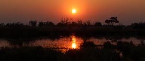 Preview wallpaper sunset, landscape, pond, dark