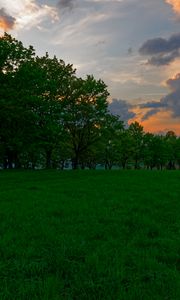 Preview wallpaper sunset, meadow, grass, trees