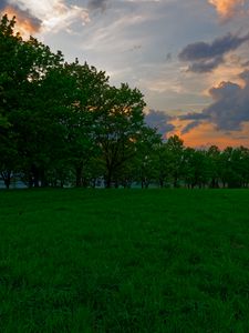 Preview wallpaper sunset, meadow, grass, trees