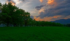 Preview wallpaper sunset, meadow, grass, trees