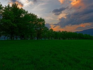 Preview wallpaper sunset, meadow, grass, trees