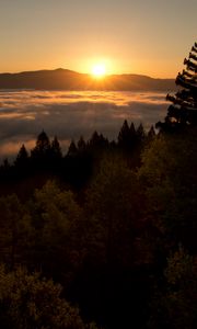 Preview wallpaper sunset, mountains, trees, clouds, dusk