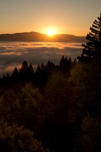 Preview wallpaper sunset, mountains, trees, clouds, dusk