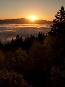 Preview wallpaper sunset, mountains, trees, clouds, dusk