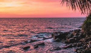 Preview wallpaper sunset, palm, sea, coast, pink