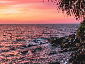 Preview wallpaper sunset, palm, sea, coast, pink