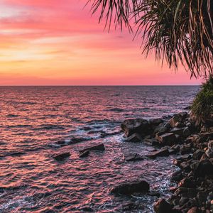 Preview wallpaper sunset, palm, sea, coast, pink