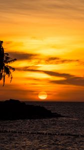 Preview wallpaper sunset, palm, sea, beach