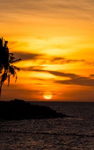 Preview wallpaper sunset, palm, sea, beach