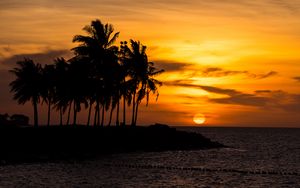 Preview wallpaper sunset, palm, sea, beach