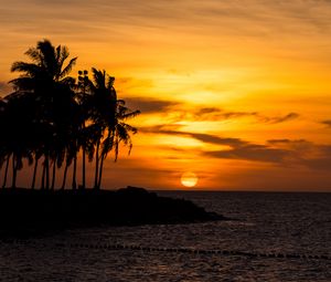 Preview wallpaper sunset, palm, sea, beach