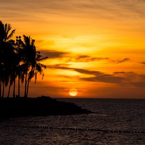 Preview wallpaper sunset, palm, sea, beach