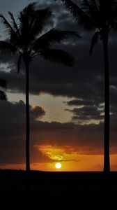 Preview wallpaper sunset, palm, sky, clouds, sun
