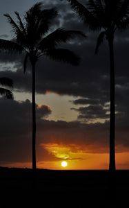 Preview wallpaper sunset, palm, sky, clouds, sun