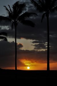 Preview wallpaper sunset, palm, sky, clouds, sun