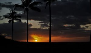 Preview wallpaper sunset, palm, sky, clouds, sun