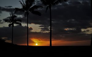 Preview wallpaper sunset, palm, sky, clouds, sun