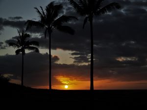 Preview wallpaper sunset, palm, sky, clouds, sun