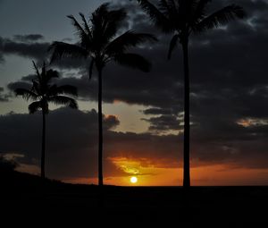 Preview wallpaper sunset, palm, sky, clouds, sun