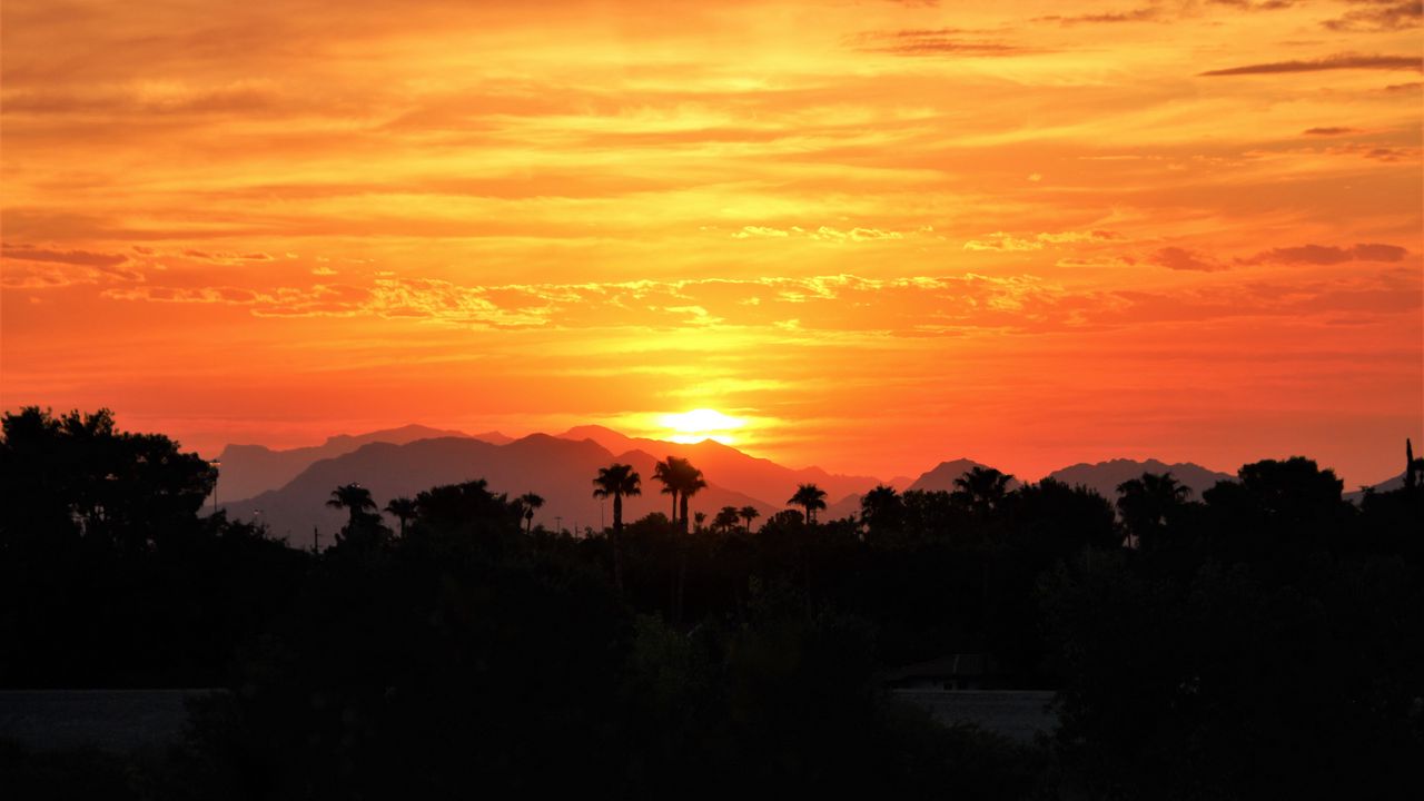 Wallpaper sunset, palm trees, hills, sky