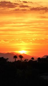 Preview wallpaper sunset, palm trees, hills, sky
