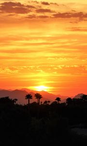 Preview wallpaper sunset, palm trees, hills, sky