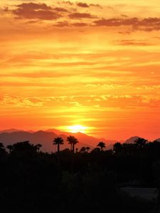 Preview wallpaper sunset, palm trees, hills, sky