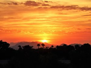 Preview wallpaper sunset, palm trees, hills, sky