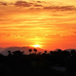 Preview wallpaper sunset, palm trees, hills, sky