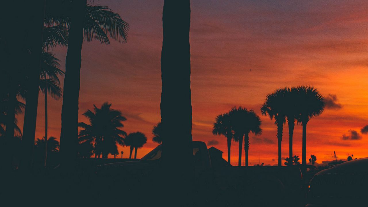 Wallpaper sunset, palm trees, silhouette