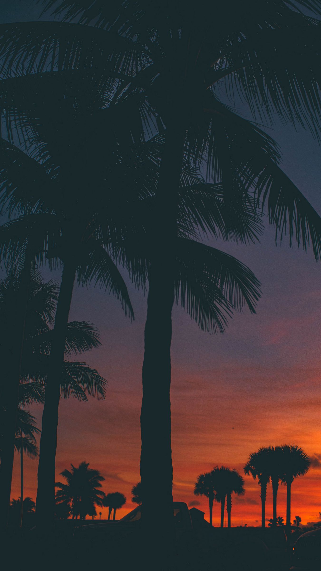 Download wallpaper 1350x2400 sunset, palm trees, silhouette iphone 8+/7