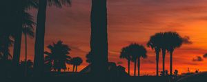 Preview wallpaper sunset, palm trees, silhouette